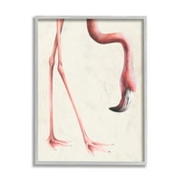 Stupell Industries rózsaszín flamingó hajlító láb csőr részlet szürke keretes, bírálta Grace popp