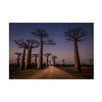 Marco Tagliarino' Allace Des Baobabs ' Vászon Művészet