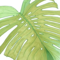 Környezetbarát Palm Poszter Nyomtatás Amaya Bucheli