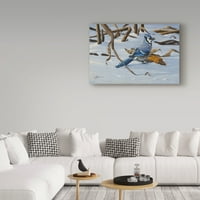 Védjegy Szépművészet 'Blue Jay' vászon művészete: Wilhelm Goebel