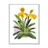 Designart 'Sárga Vintage Orchidea' hagyományos keretes vászon fali művészet